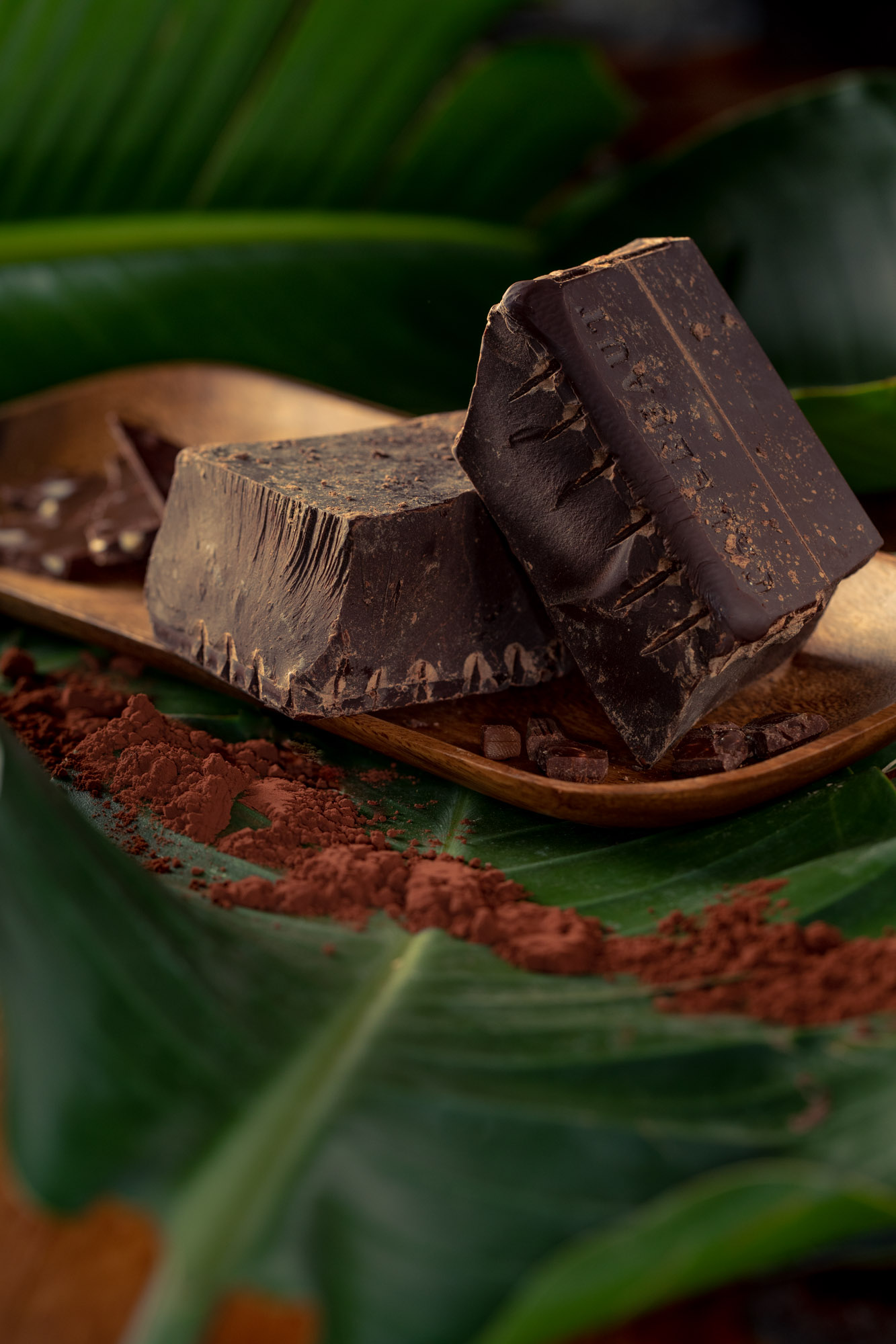 sexy shot of ingredients used to make chocolate
