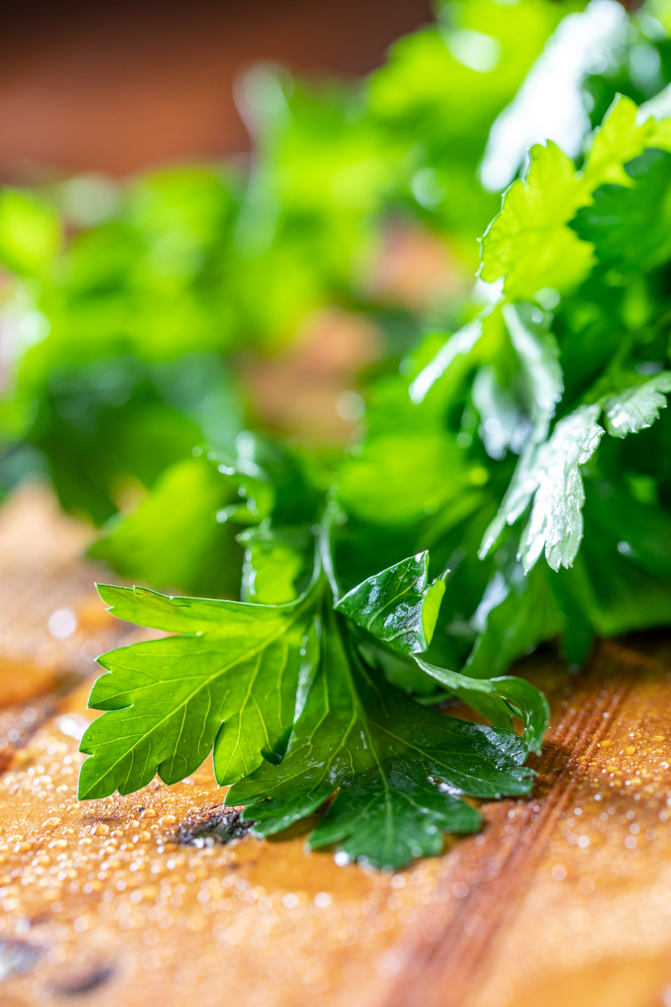 fresh ingredients like cilantro make the best food photography