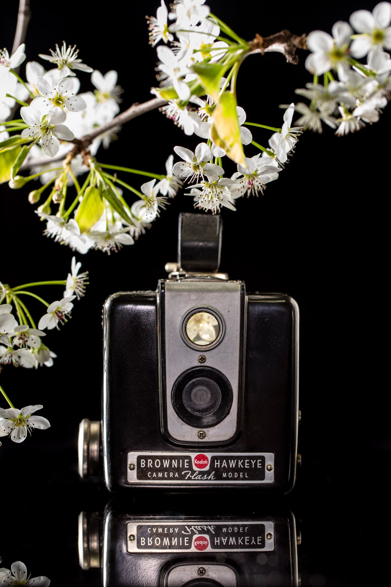 A camera with a touch of spring flowers