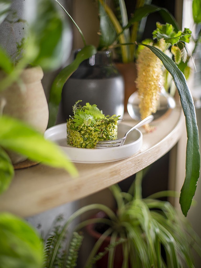 A plate of healthy greek food surrounded by plants